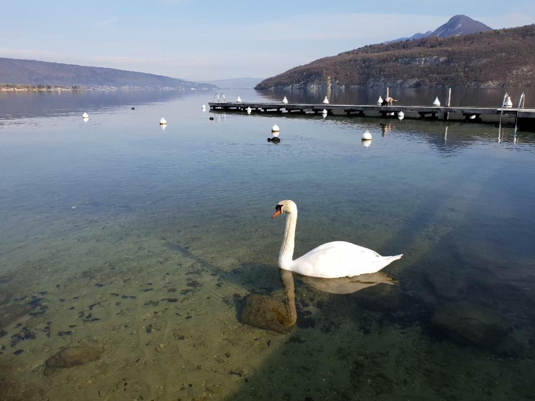 La Baie des Voiles 3 chambres 4 à 6 personnes au bord du lac plage privée Duingt Esterno foto